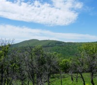 Kosmaj – planinarski dom Vinča (bivši “Zlatar”) (528mnv)