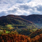 Maljen, Tometino polje – Ranč Orlovo gnezdo(520mnv)