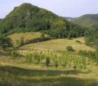 Jablanik – planinarski dom Debelo brdo (1040mnv)