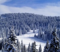 Kopaonik – planinarski dom Kopaonik (1720mnv)