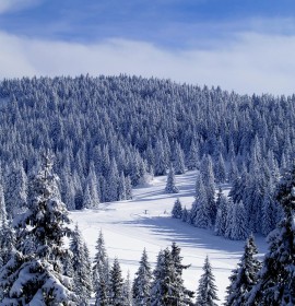 Kopaonik – planinarski dom Kopaonik (1720mnv)