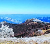 Ruj – planinska kuća (vikendica), Zvonačka banja