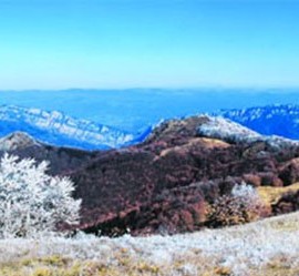 Ruj – planinska kuća (vikendica), Zvonačka banja