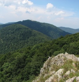 Jastrebac – planinarski dom ,,Žarko Žarić” (Limarev dom)- (581mnv)